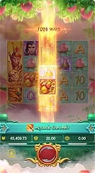 rp56 · Lgd Monkey Kg